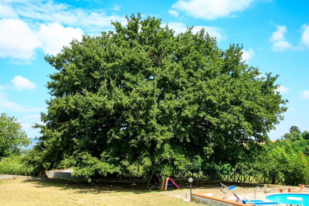 Agriturismo Eden 皮蒂利亚诺 外观 照片